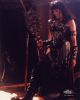 xena_397.jpg