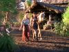 path_mq_003dvd.jpg