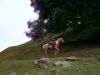 path_mq_037dvd.jpg