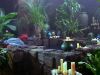 path_mq_066dvd.jpg