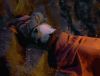 reckoning_dArc_PDVD_1460.jpg
