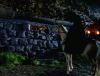 Filename=reckoning_dArc_PDVD_1515.jpg
Filesize=136KB
Dimensions=1025x781
Date added=Feb 10, 2009 reckoning_dArc_PDVD_1515.jpg