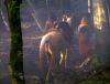 Filename=reckoning_dArc_PDVD_1847.jpg
Filesize=86KB
Dimensions=1025x781
Date added=Feb 10, 2009 reckoning_dArc_PDVD_1847.jpg