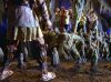 Filename=theTitans_dArc_PDVD_879.jpg
Filesize=138KB
Dimensions=1026x768
Date added=Feb 10, 2009 theTitans_dArc_PDVD_879.jpg