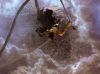 prometheus_dArc_PDVD_1050.jpg