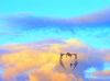 Filename=prometheus_dArc_PDVD_1073.jpg
Filesize=73KB
Dimensions=1026x768
Date added=Feb 10, 2009 prometheus_dArc_PDVD_1073.jpg