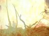 Filename=fod_dArc_PDVD_1768.jpg
Filesize=81KB
Dimensions=1026x768
Date added=Feb 10, 2009 fod_dArc_PDVD_1768.jpg