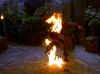 wp_dArc_PDVD_973.jpg