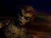 mb_dArc_PDVD_1079.jpg