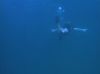 Filename=mb_dArc_PDVD_265.jpg
Filesize=42KB
Dimensions=1026x768
Date added=Feb 10, 2009 mb_dArc_PDVD_265.jpg