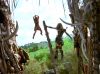 callisto_dArc_PDVD_2278.jpg
