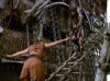 Filename=callisto_dArc_PDVD_2934.jpg
Filesize=133KB
Dimensions=1026x768
Date added=Feb 10, 2009 callisto_dArc_PDVD_2934.jpg