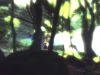 gjwhf_mq_004sd.jpg
