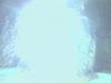 intimate_5_mq_087sd.jpg