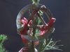 solstice_5_mq_015sd.jpg