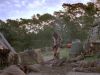 furies_5_mq_137sd.jpg