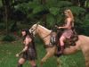 kingcon_5_mq_120cd.jpg