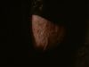luatd_5_mq_197sd.jpg