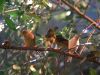 paradise_5_mq_057cd.jpg