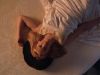 paradise_5_mq_241cd.jpg
