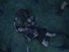endgame_5_mq_031cd.jpg