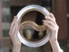 chakram_mq_247.jpg