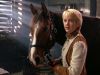 animal_mq_190dvd.jpg