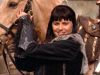 animal_mq_196dvd.jpg