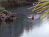 abyss_mq_019sd.jpg