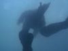 abyss_mq_072sd.jpg