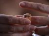 ring_mq_254sd.jpg