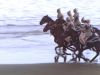 rotv_mq_175sd.jpg