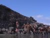 thab_mq_110cd.jpg