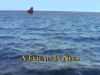 afin3_mq_034.jpg