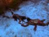 Filename=afin4_mq_359ati.jpg
Filesize=132KB
Dimensions=1024x768
Date added=Jan 10, 2010 afin4_mq_359ati.jpg